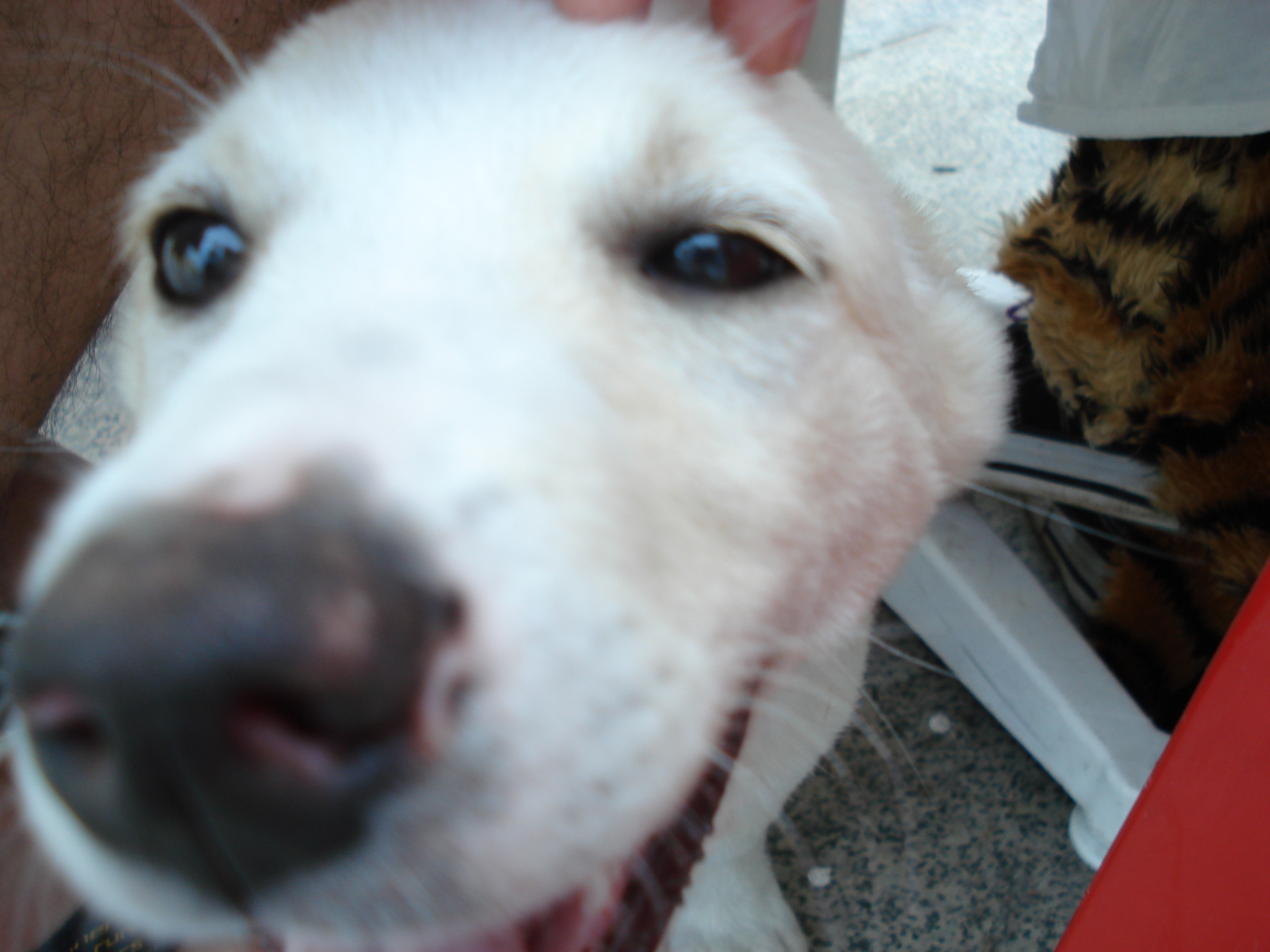 DSC01515.jpg