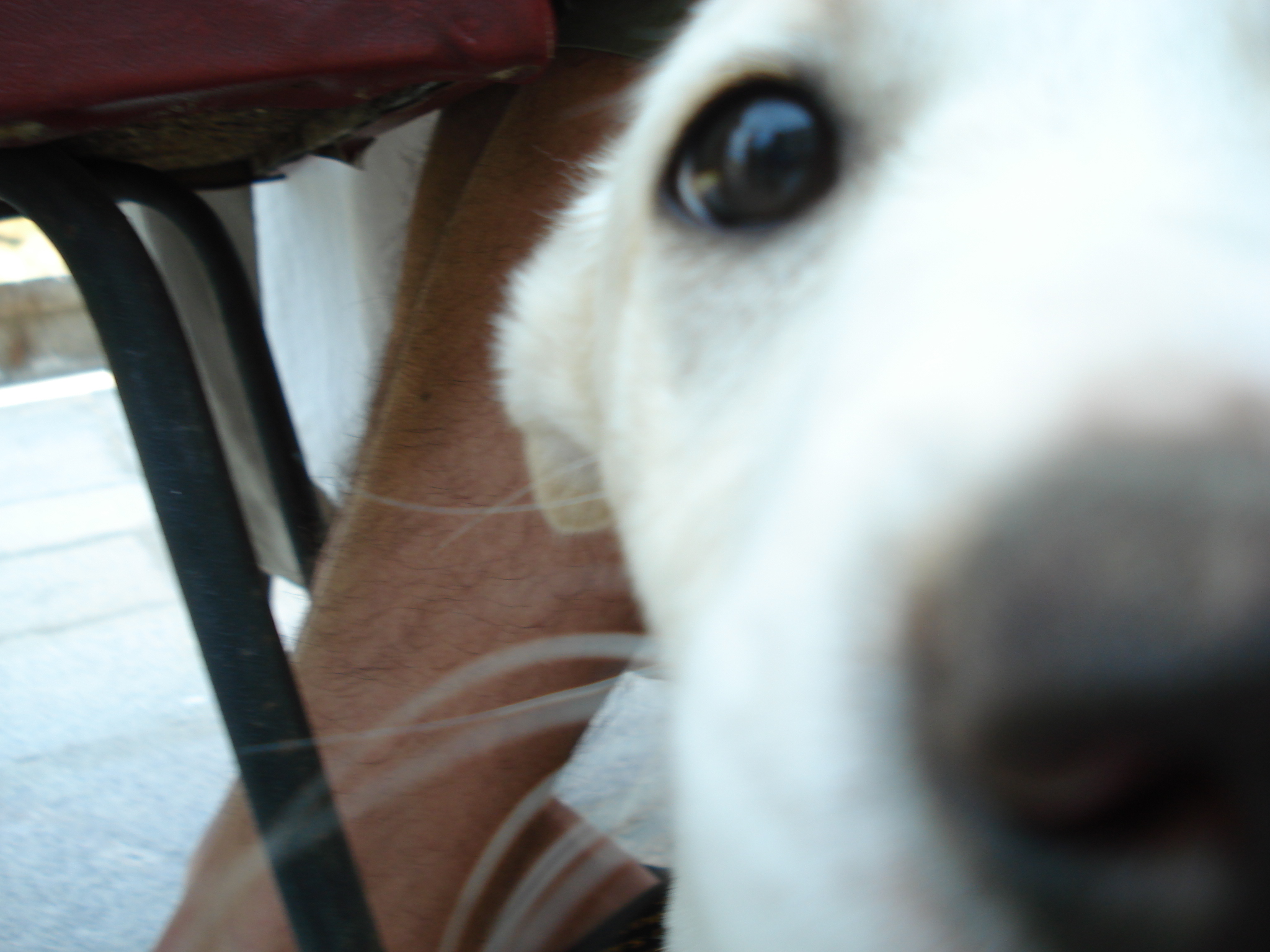 DSC01517.jpg