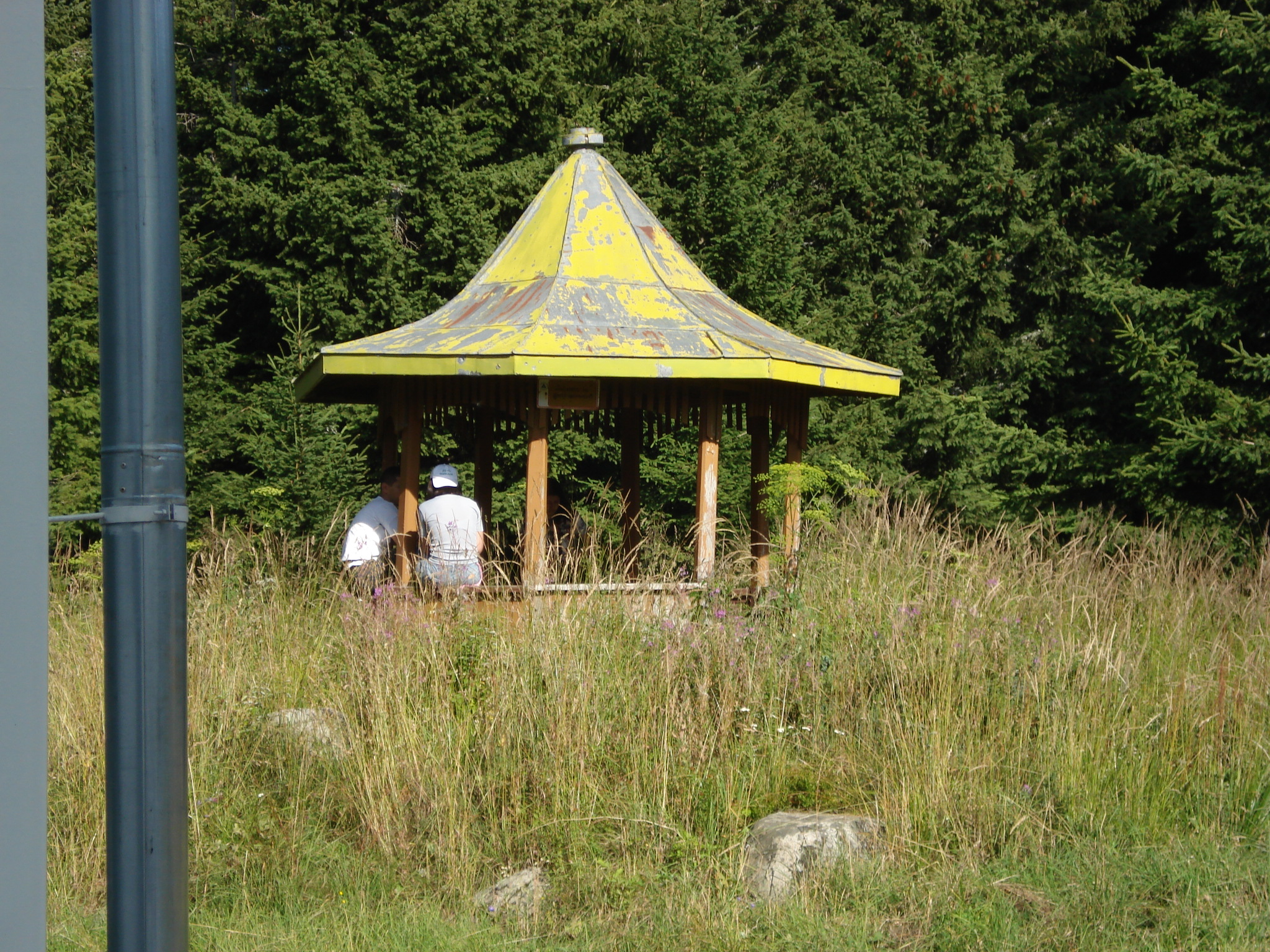 DSC01526.jpg