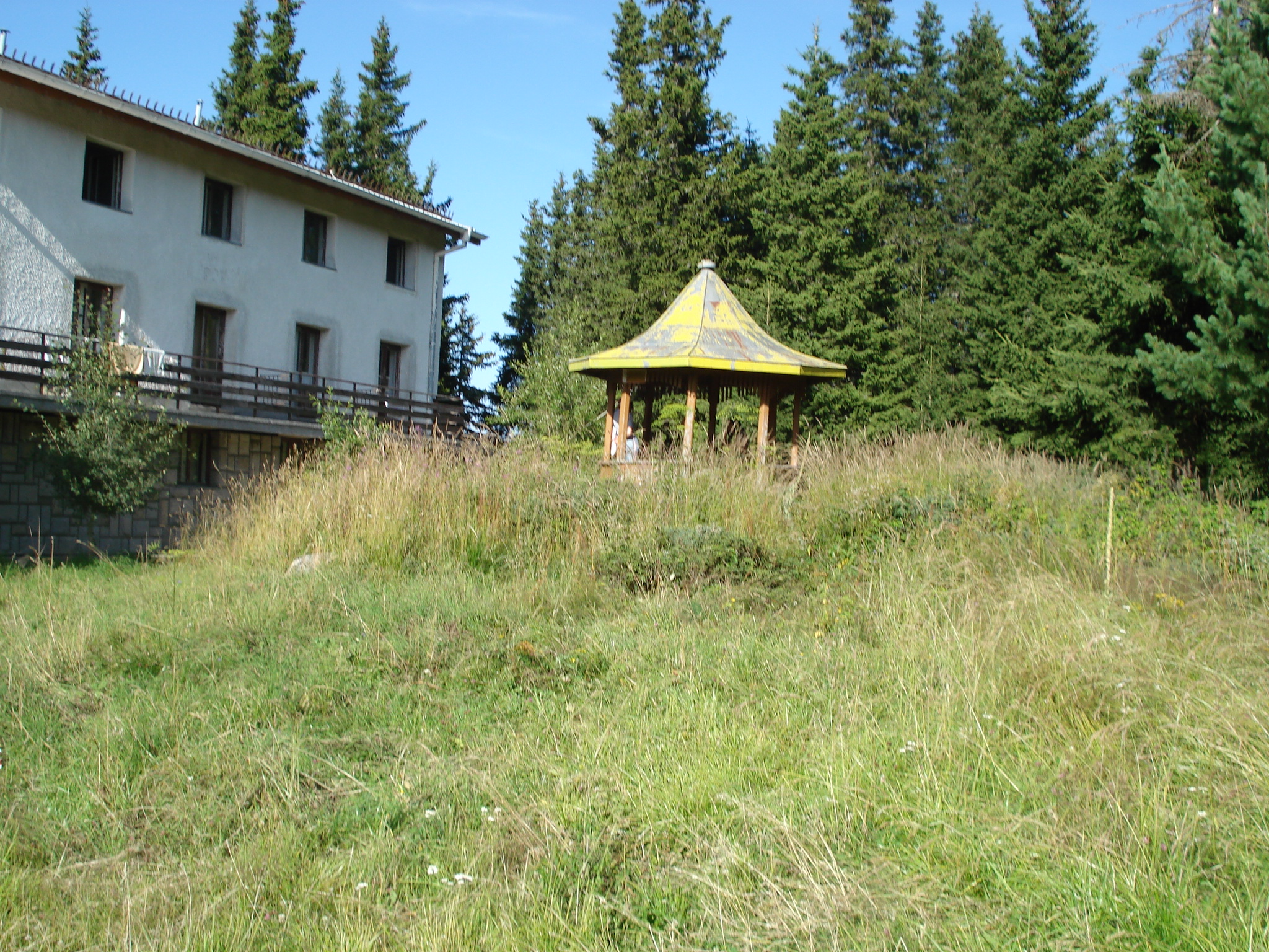 DSC01543.jpg