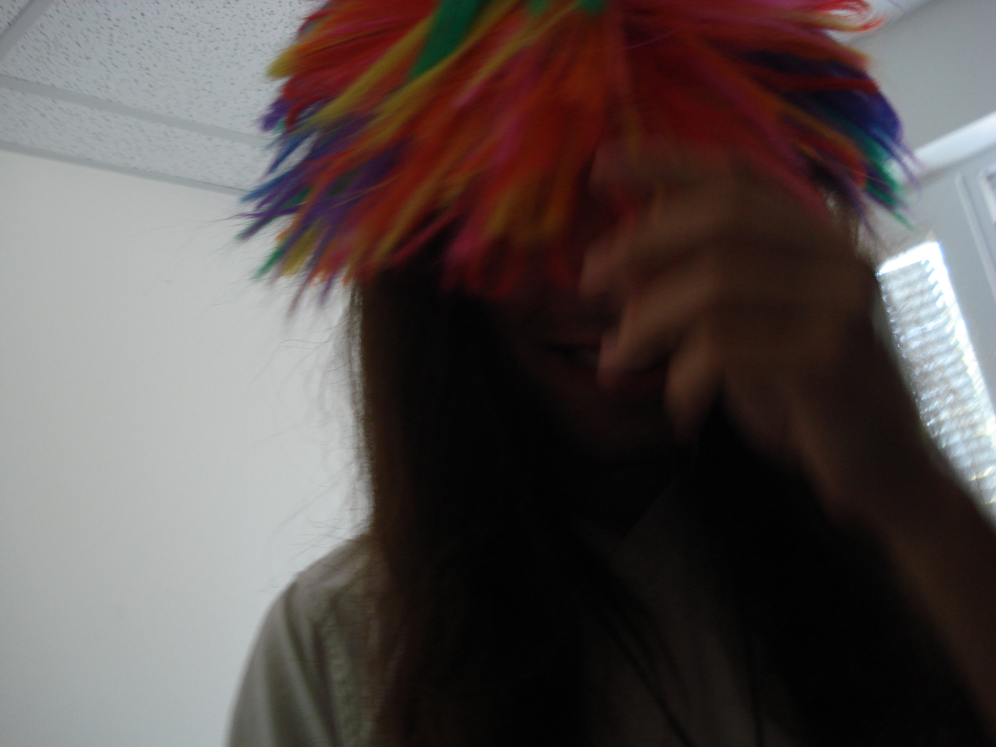 DSC01431.jpg