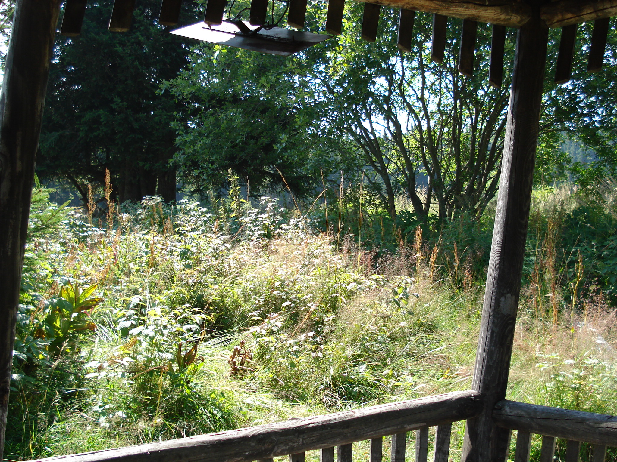 DSC01434.jpg