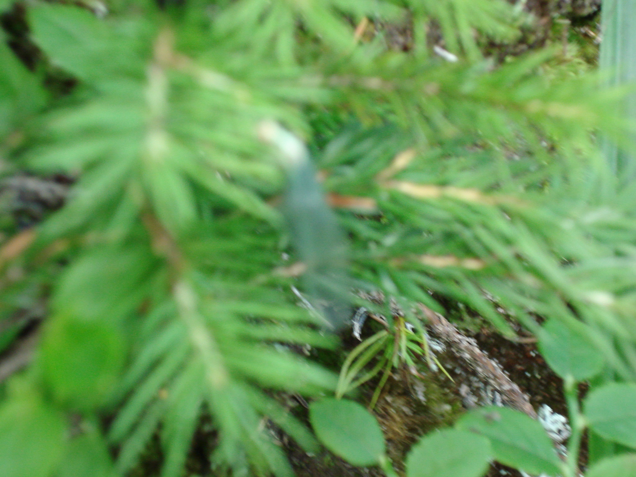 DSC01455.jpg