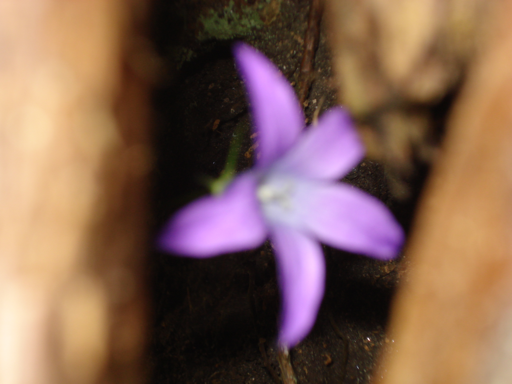 DSC01460.jpg