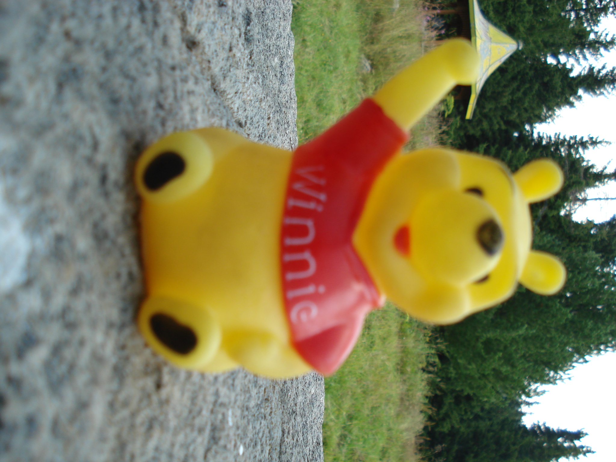 DSC01464.jpg