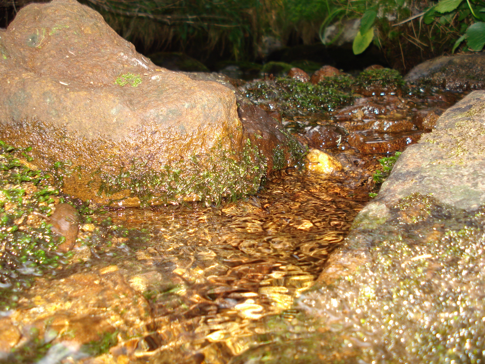 DSC01472.jpg