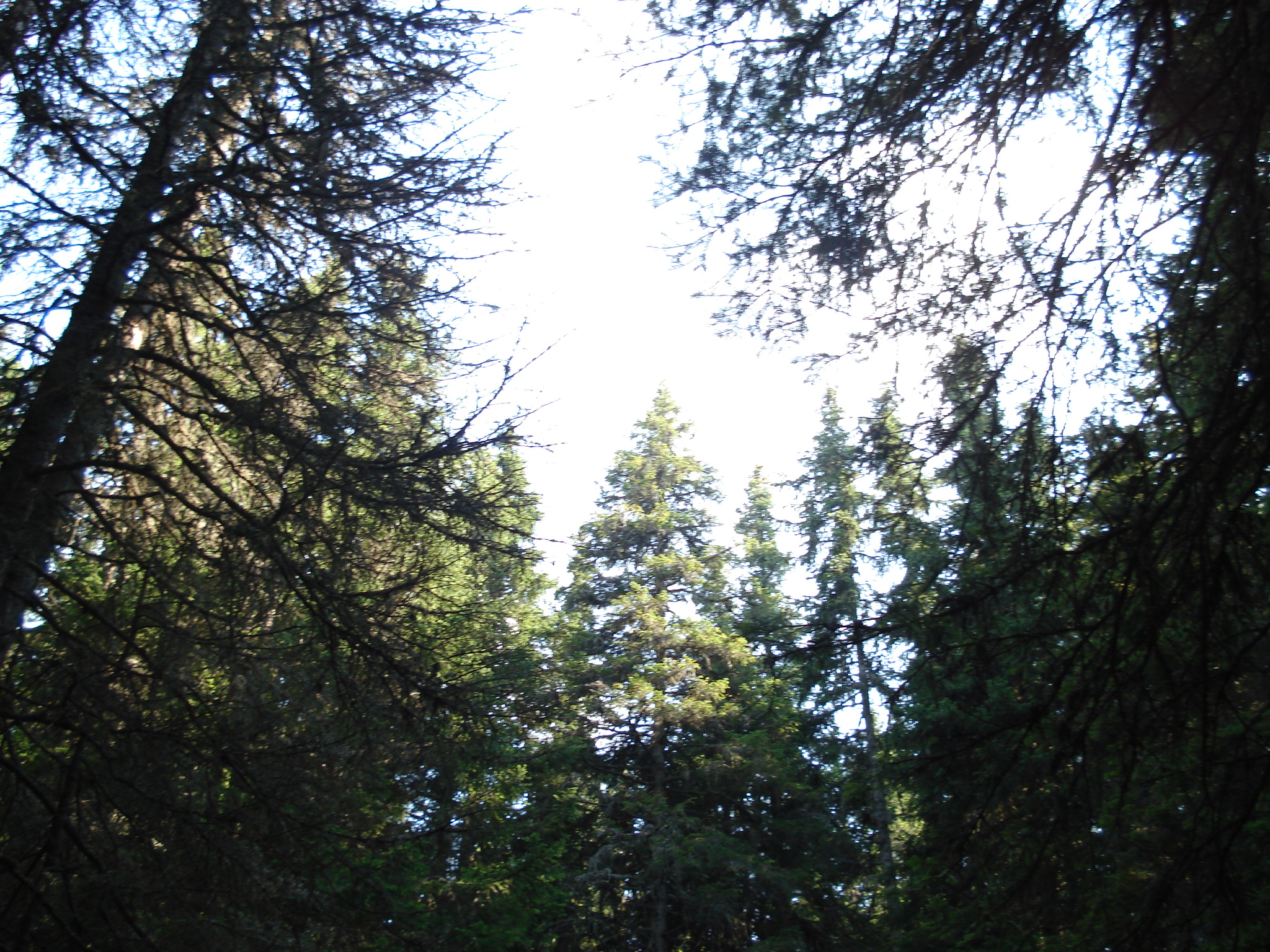 DSC01474.jpg