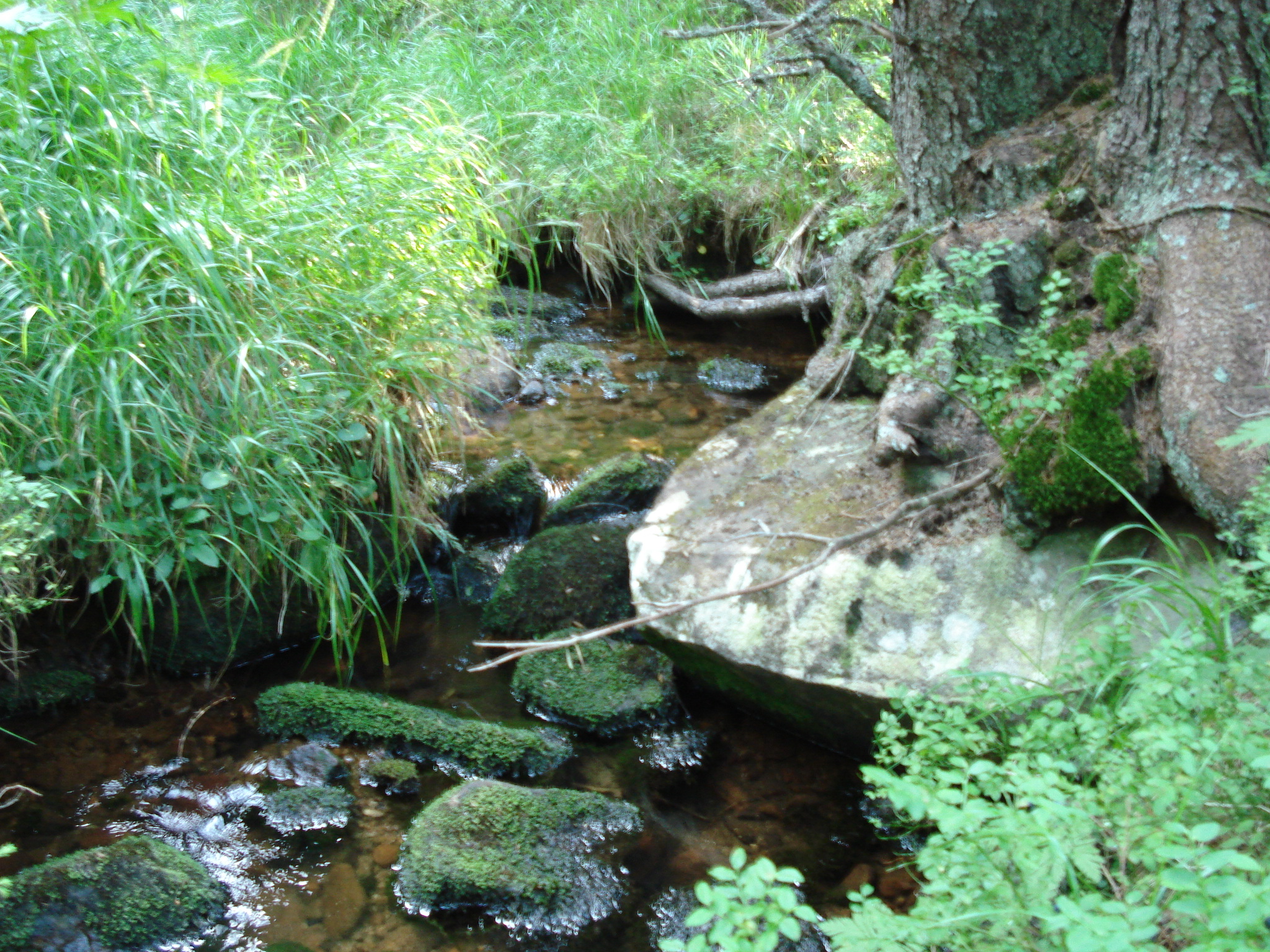 DSC01476.jpg