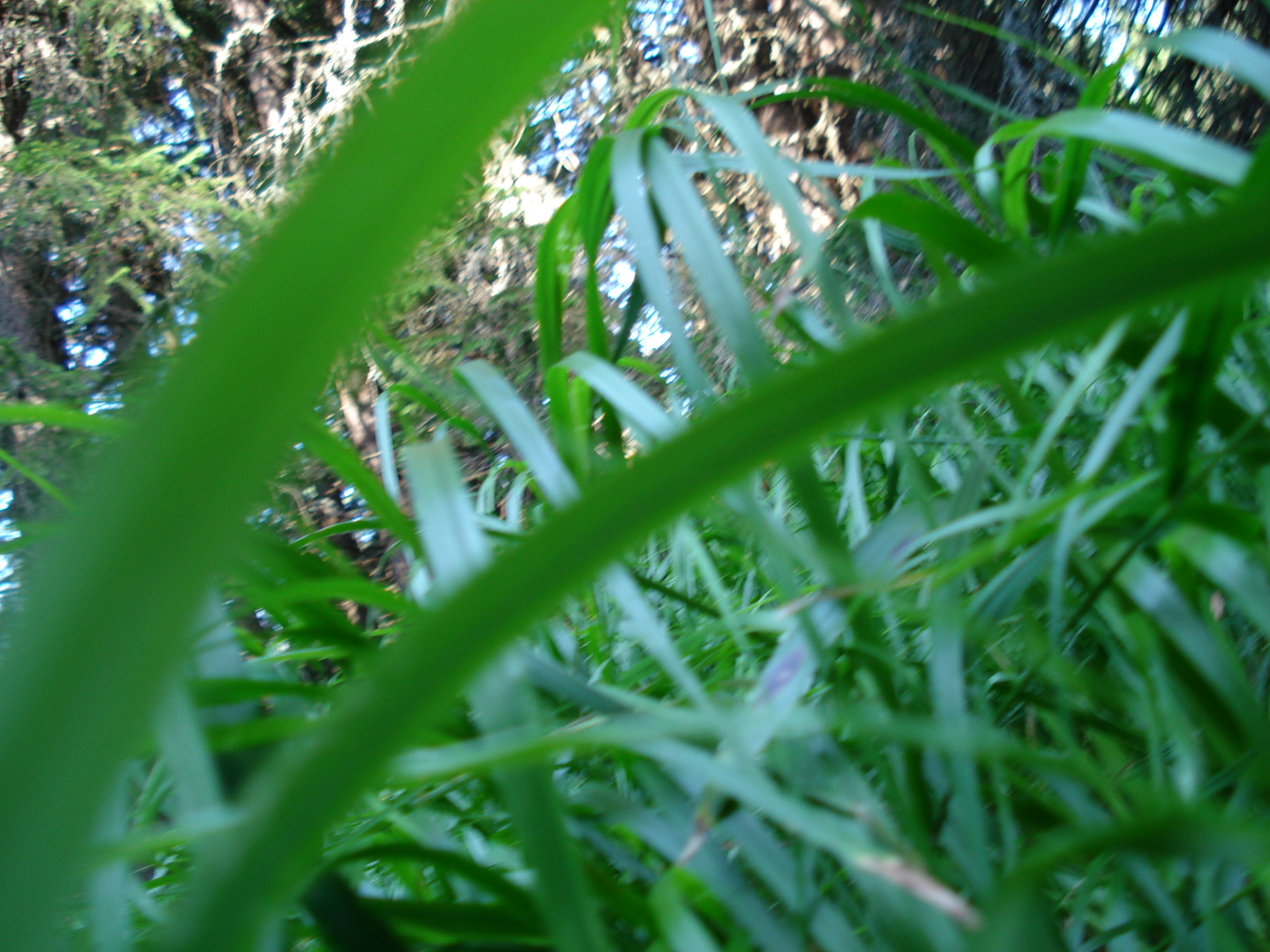 DSC01487.jpg