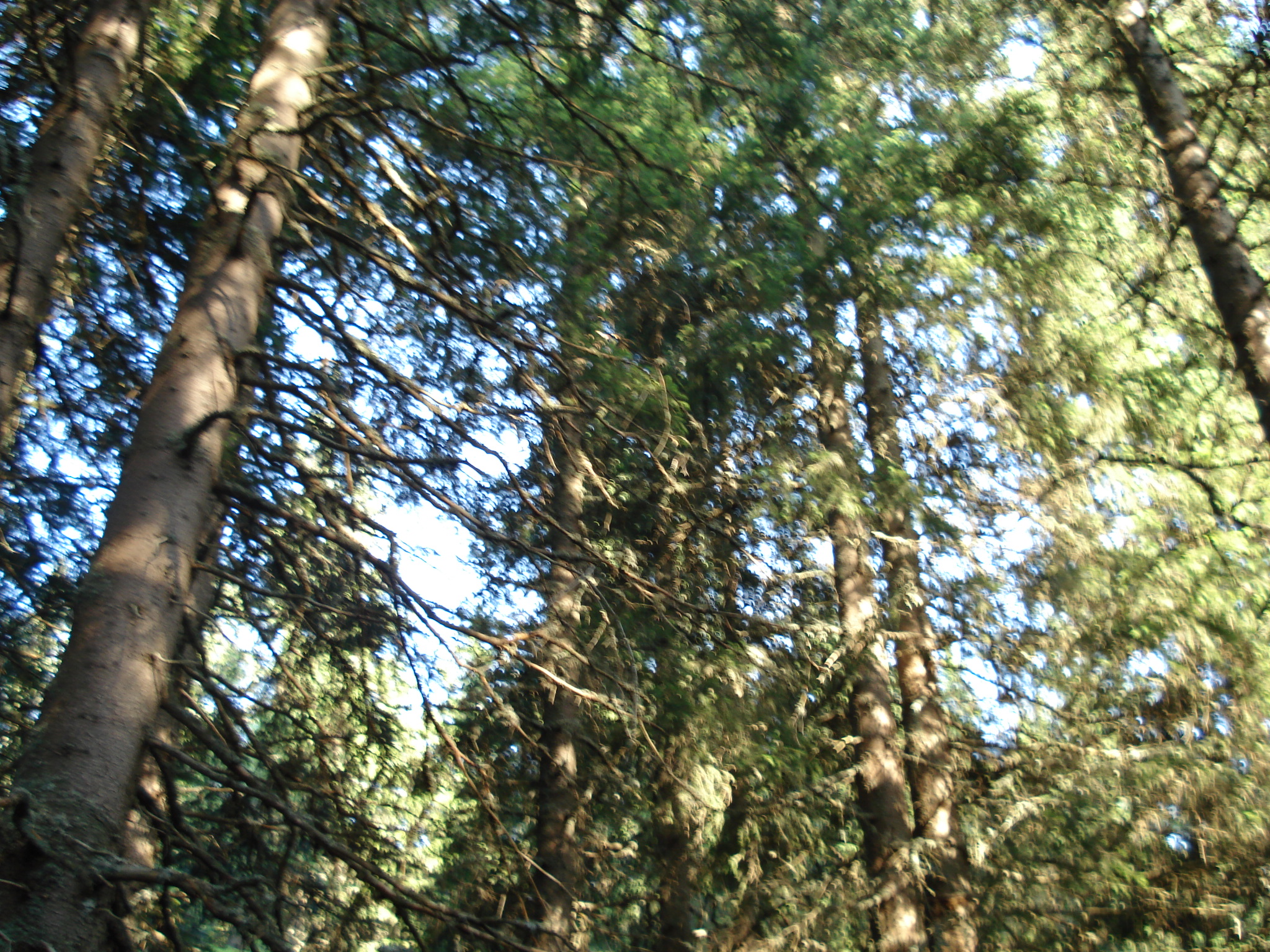 DSC01489.jpg