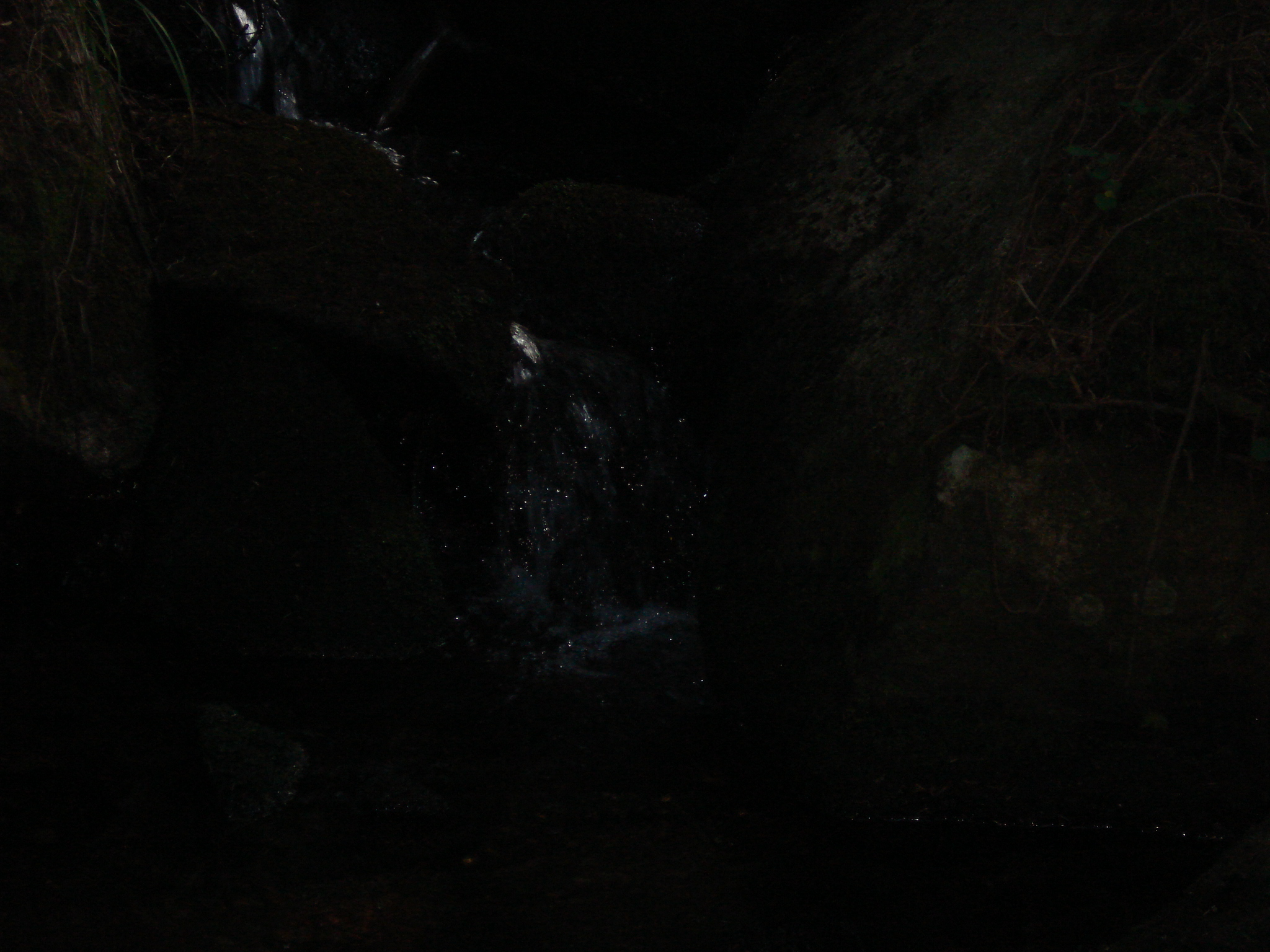 DSC01492.jpg