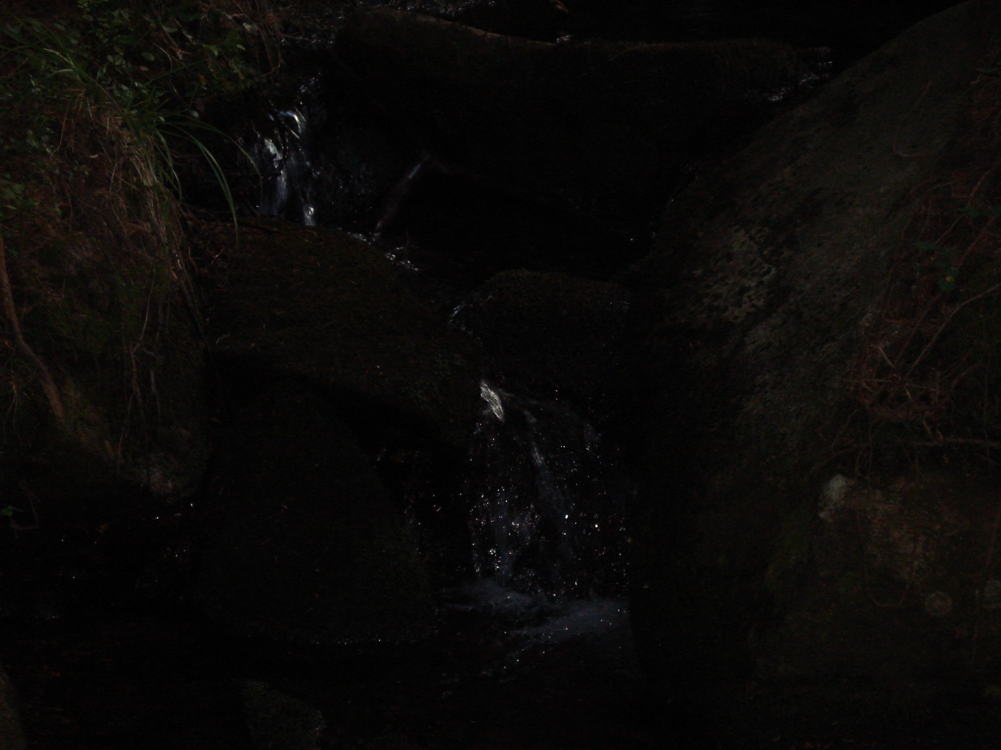 DSC01493.jpg