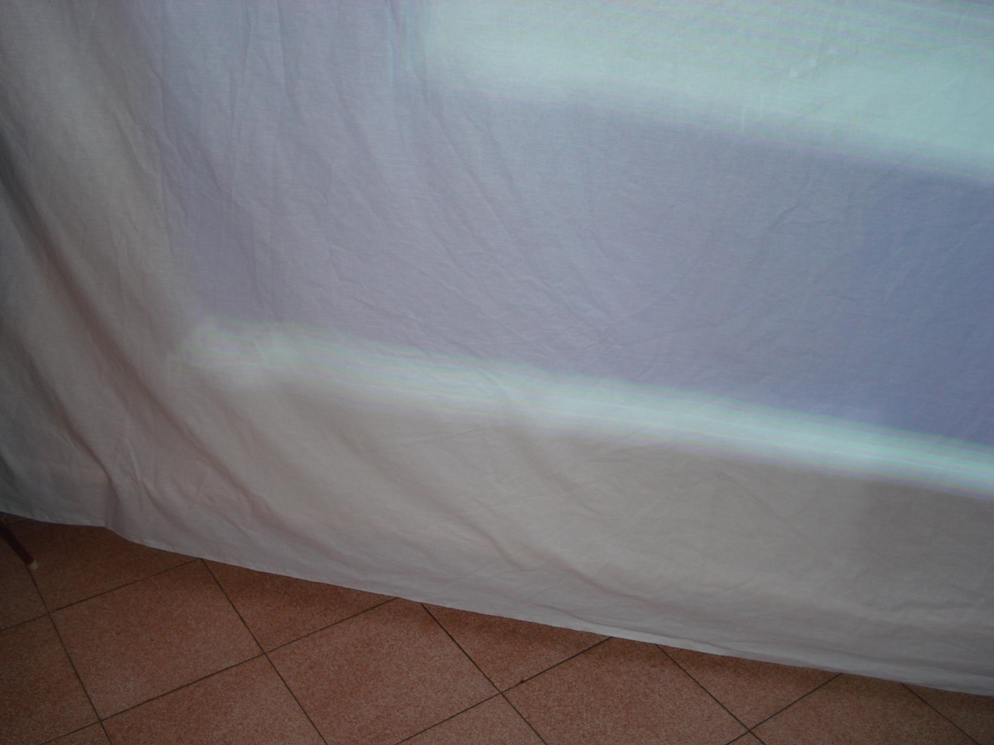 DSC01711.jpg