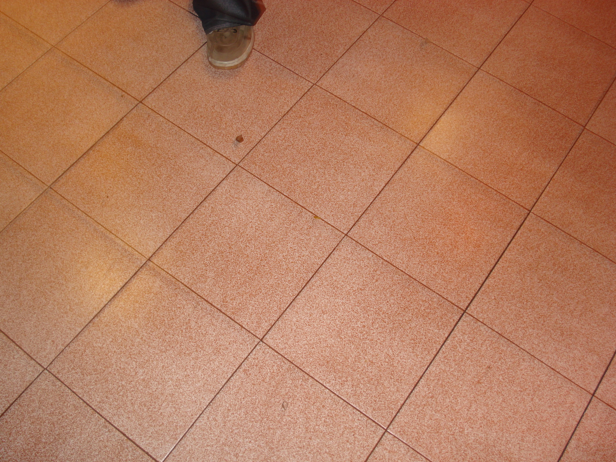 DSC01712.jpg