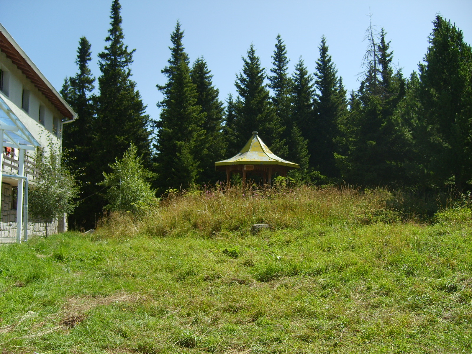 S6000393.jpg