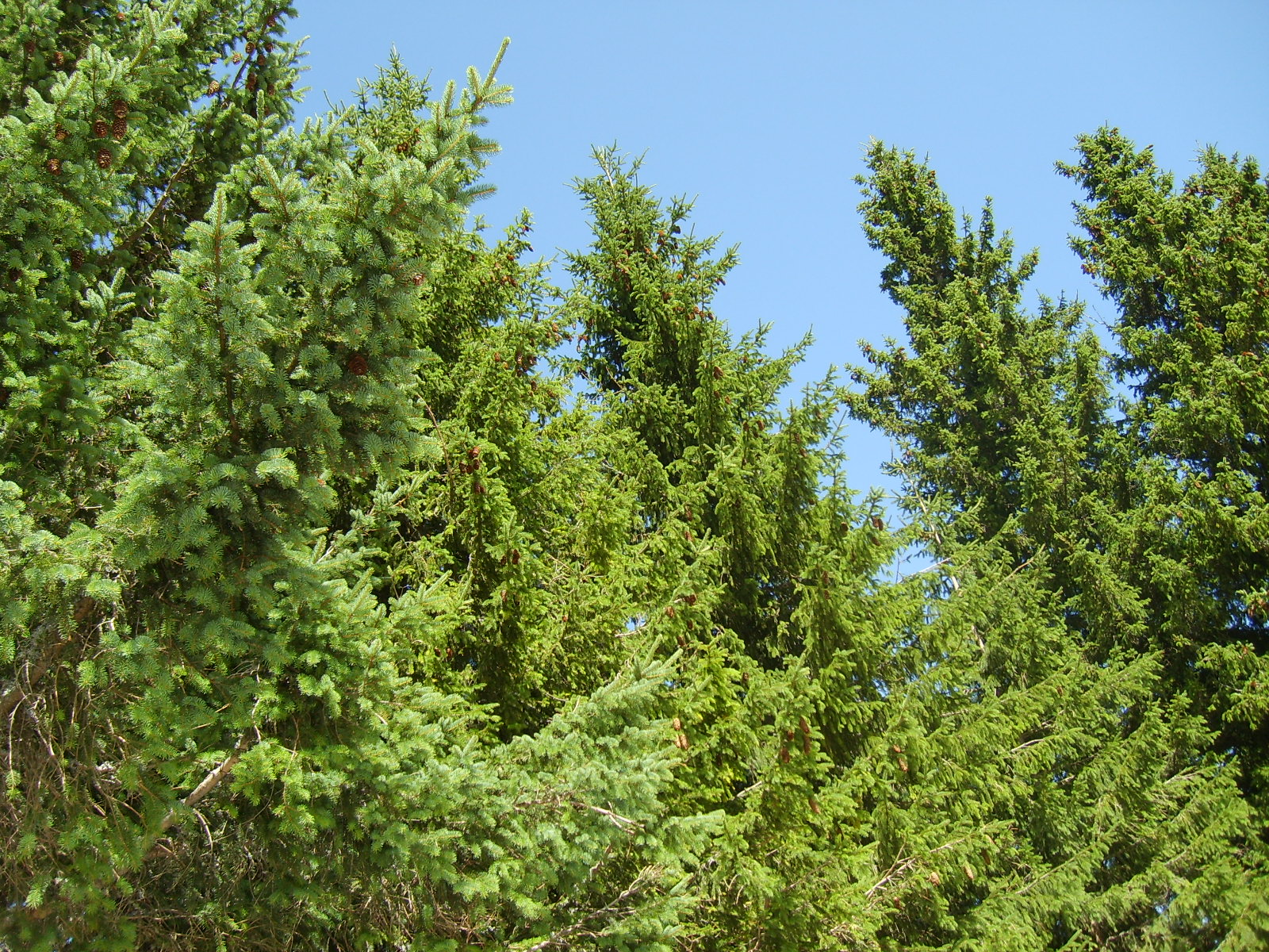 S6000396.jpg