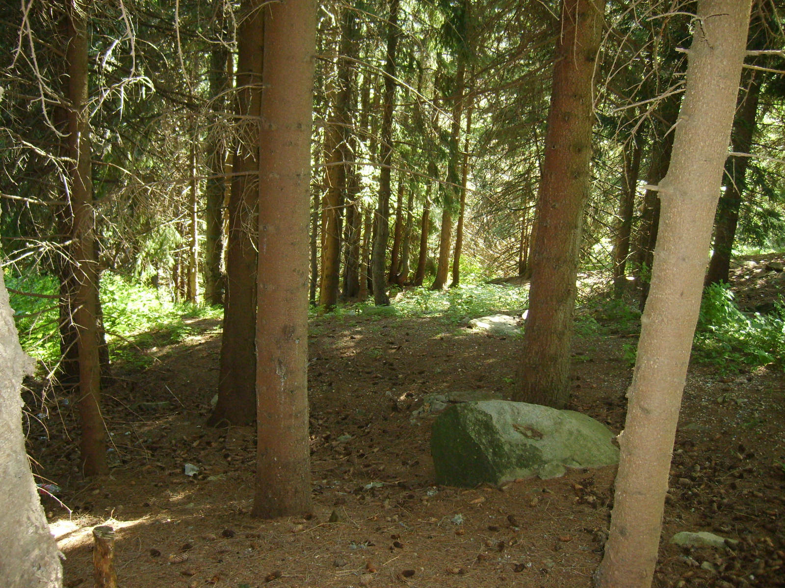 S6000399.jpg
