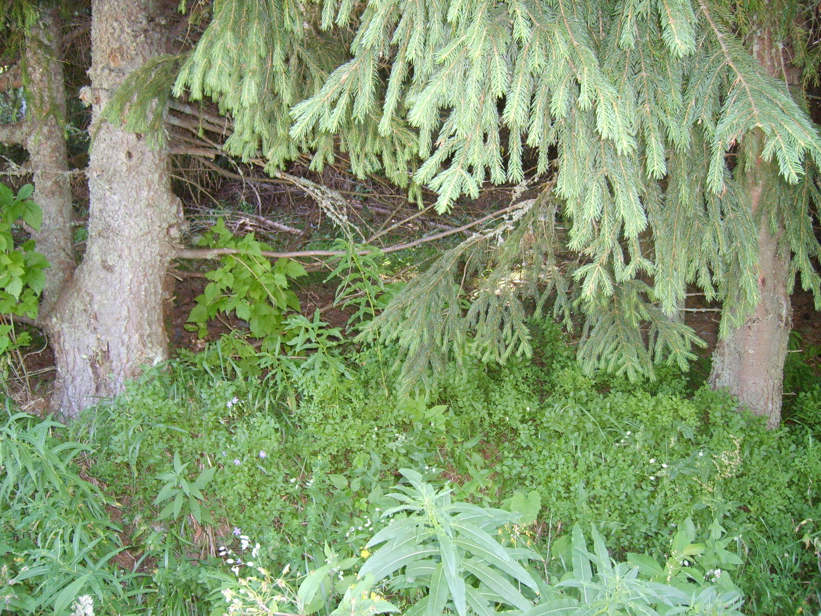 S6000412.jpg