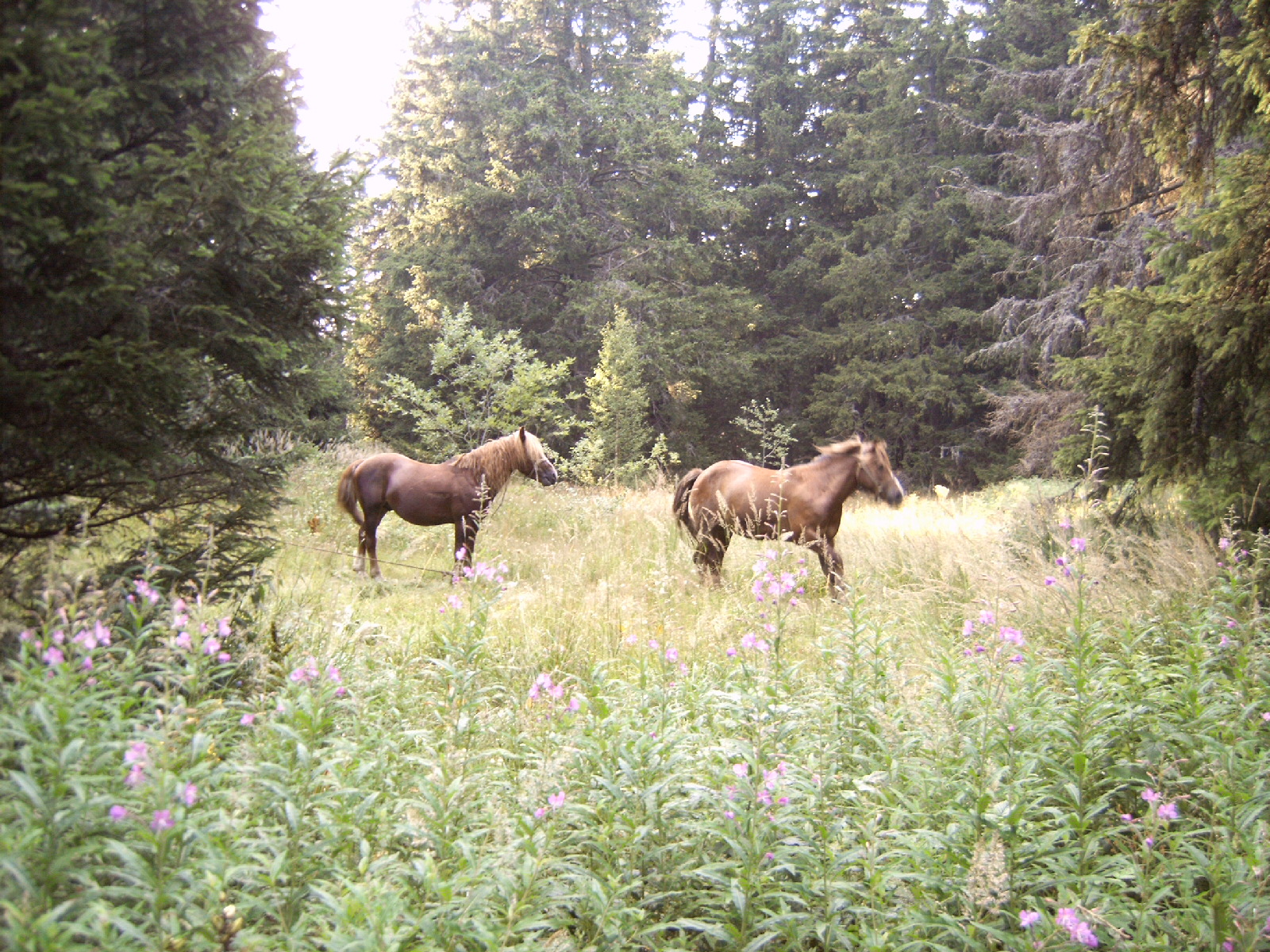 IMG00006.jpg