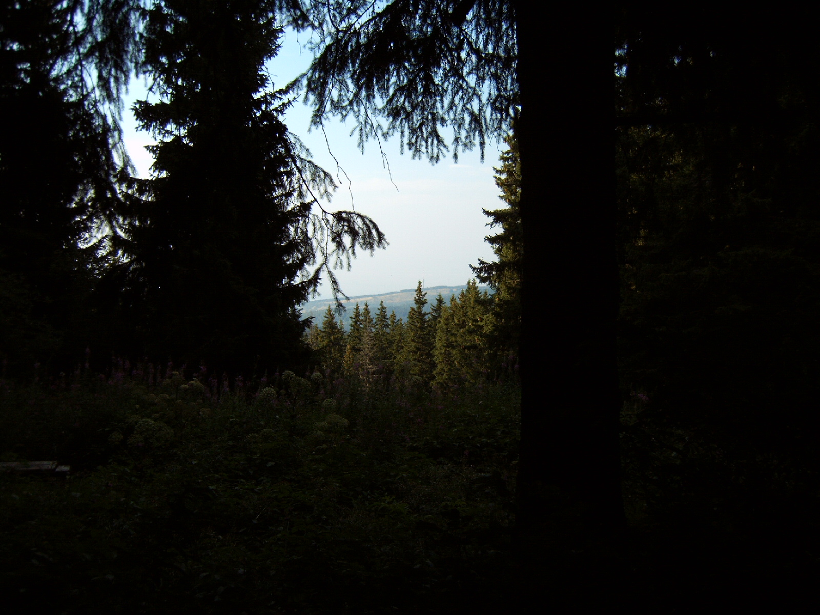 IMG00007.jpg