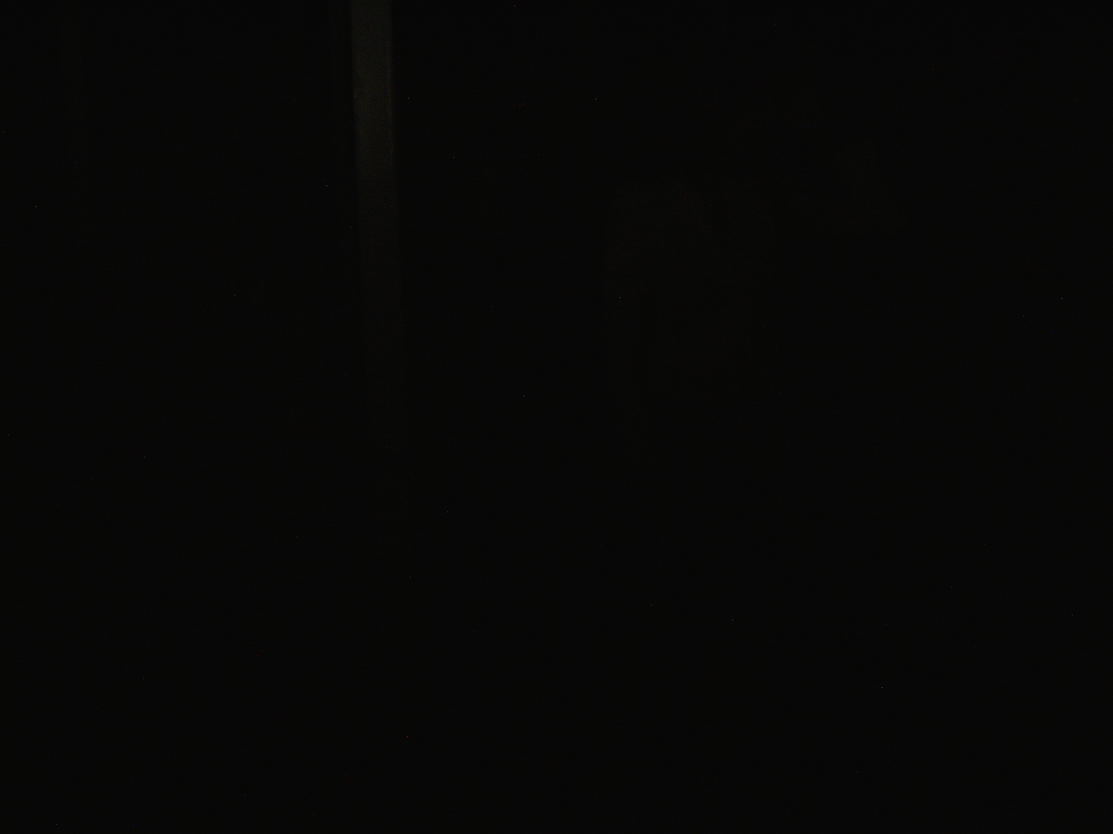 IMG00263.jpg