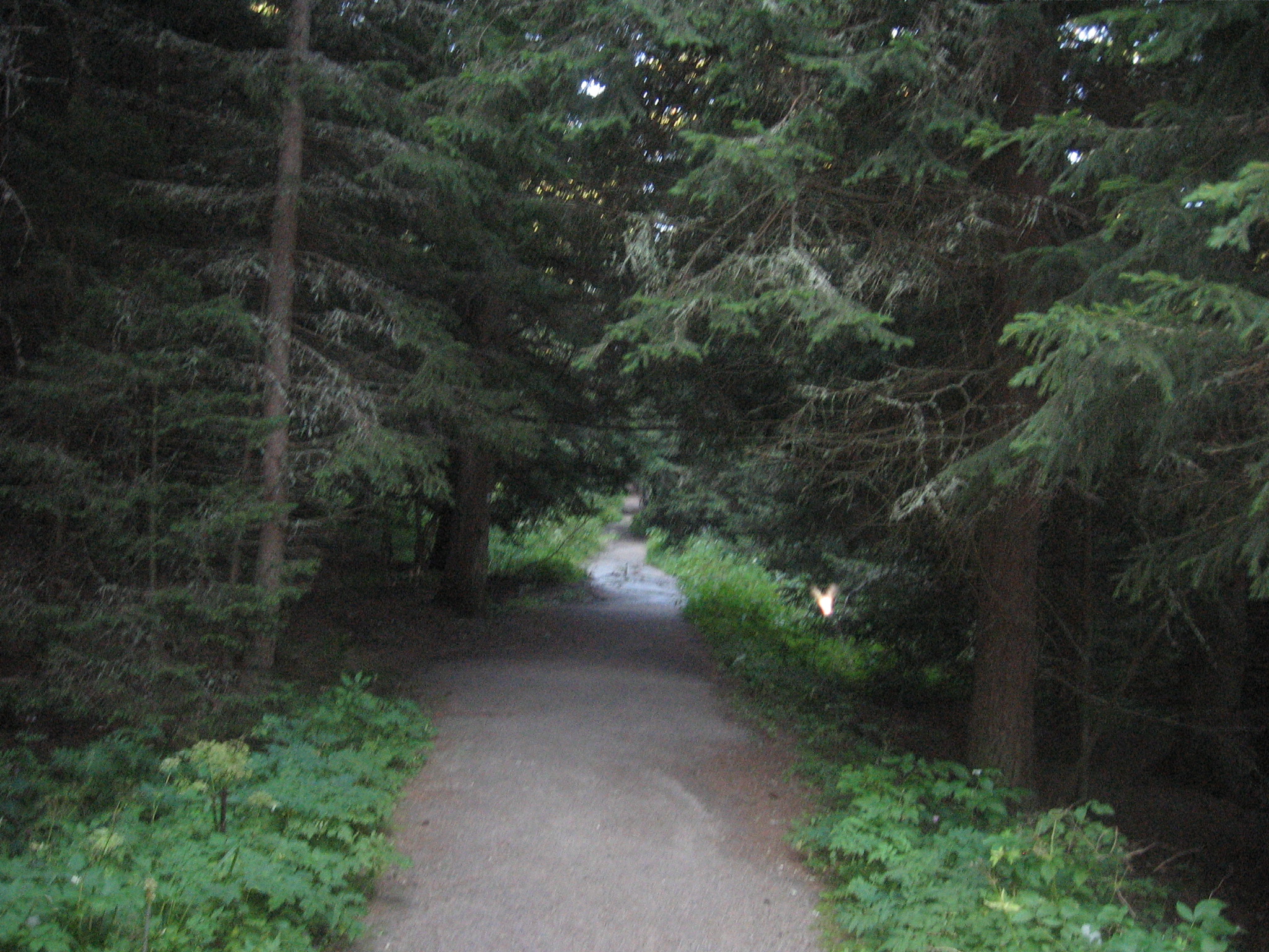 IMG_3176.jpg
