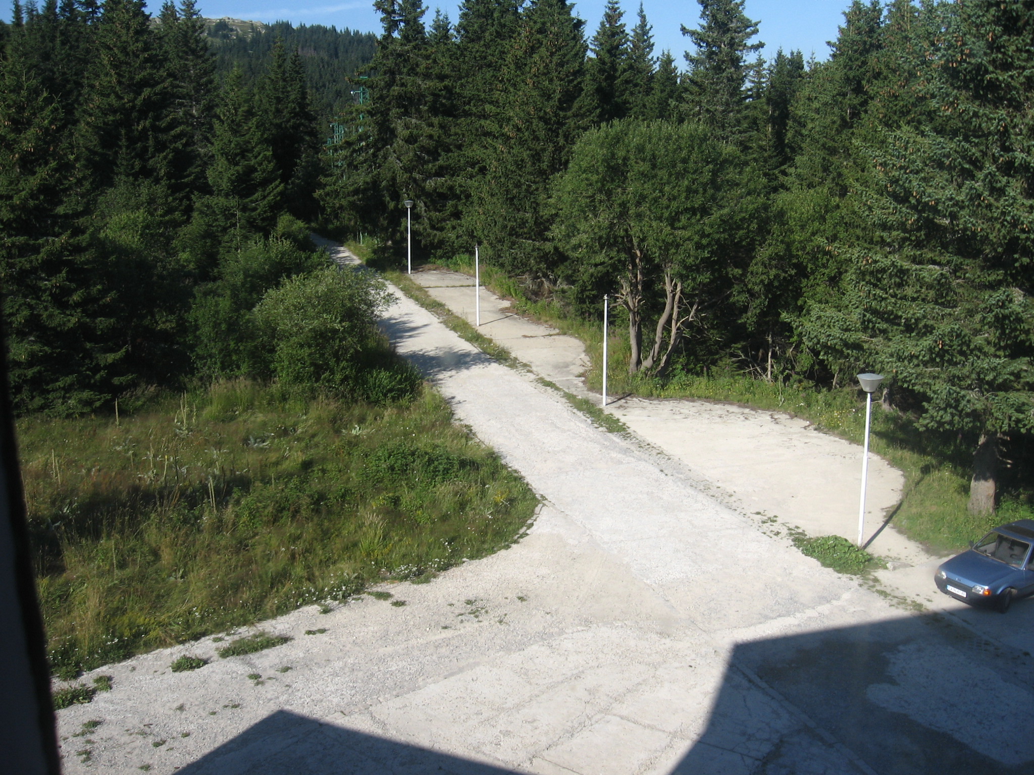IMG_3185.jpg