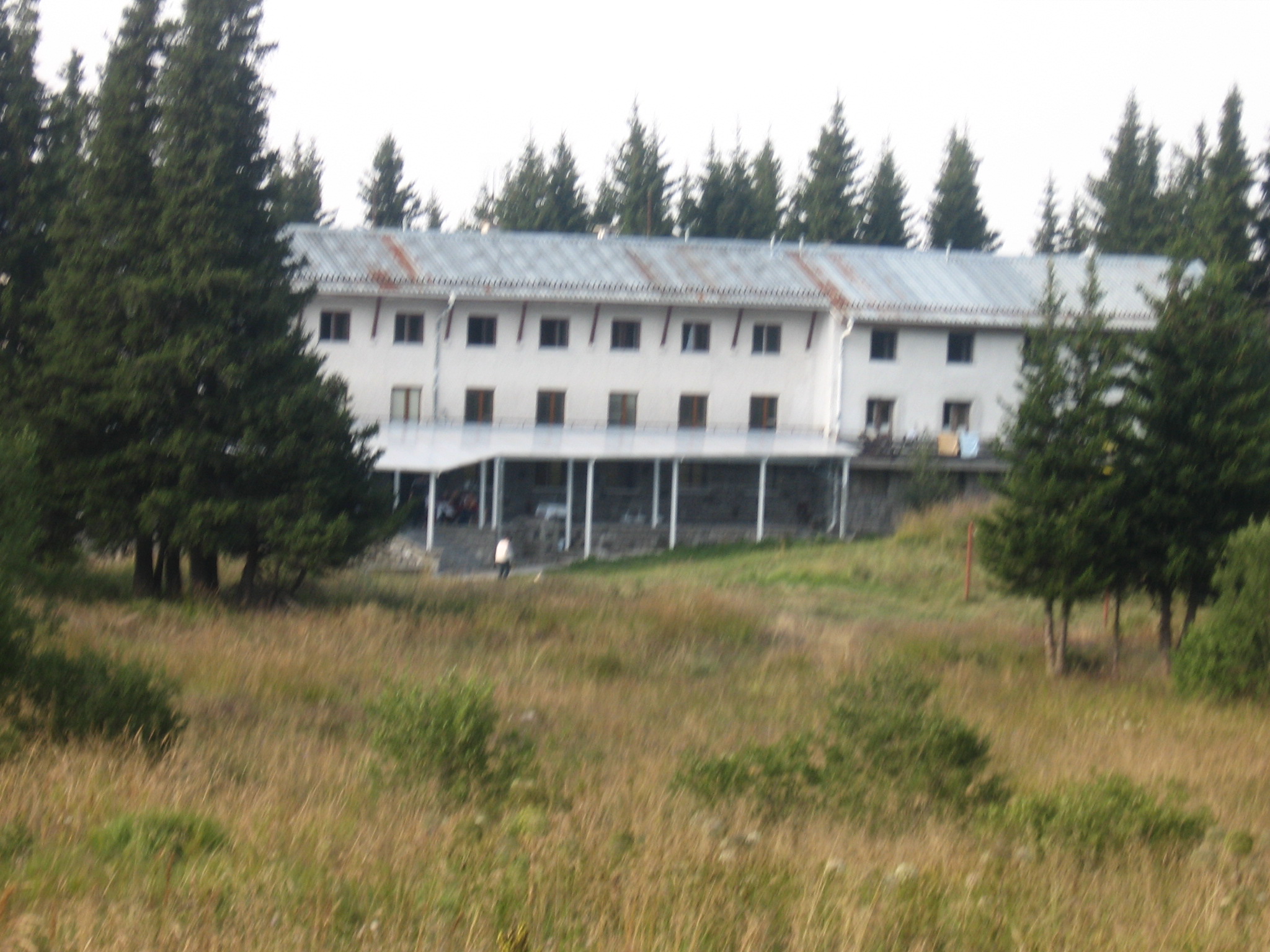 IMG_3376.jpg