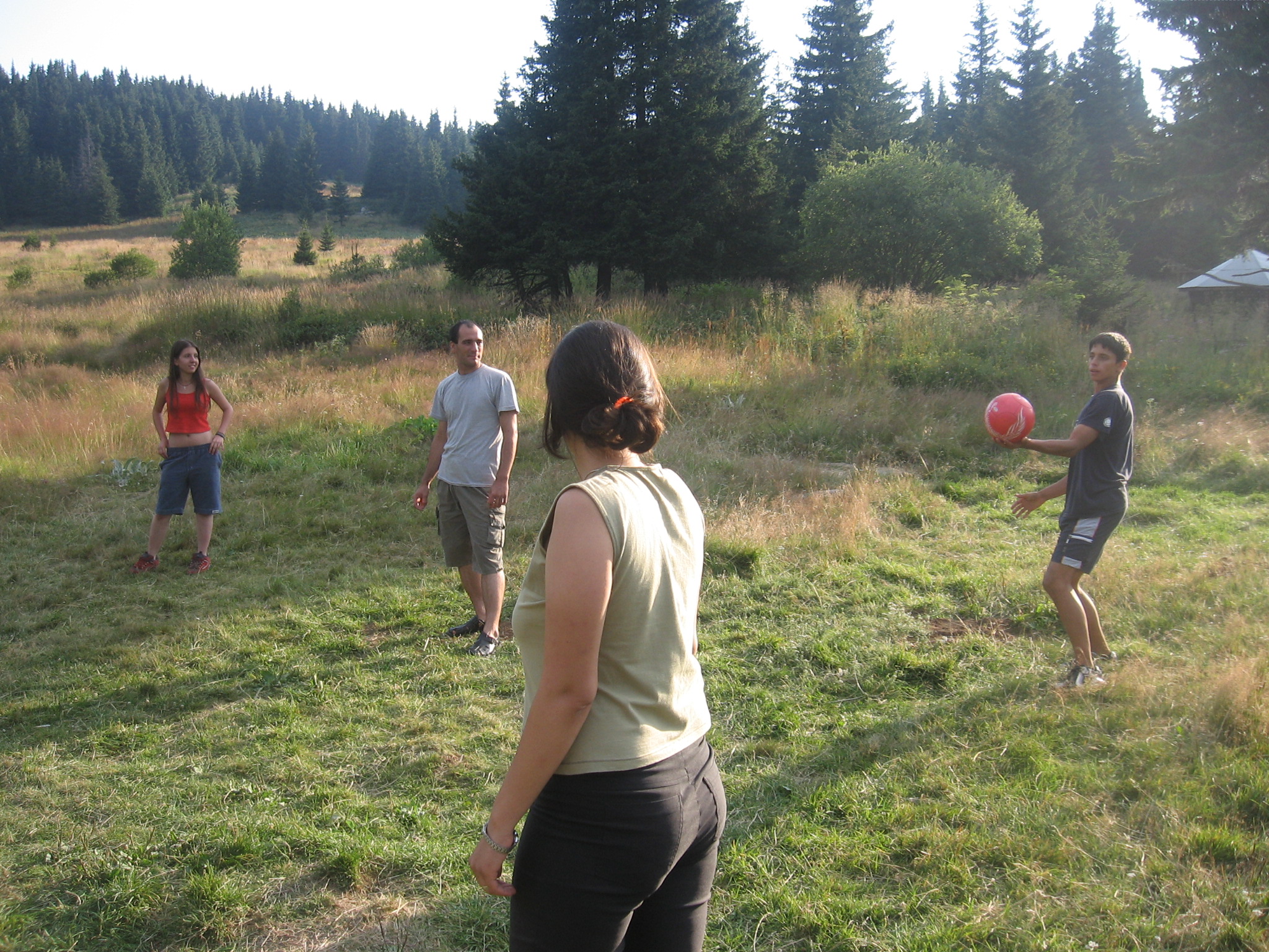 IMG_3387.jpg