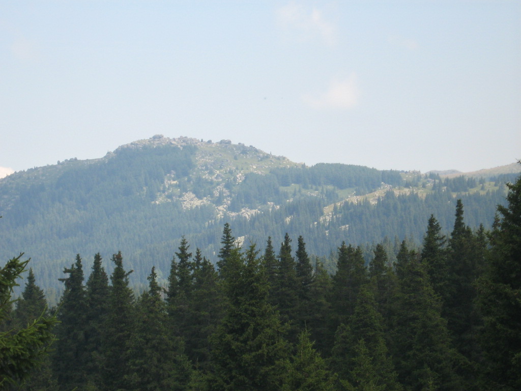 IMG_1436.jpg
