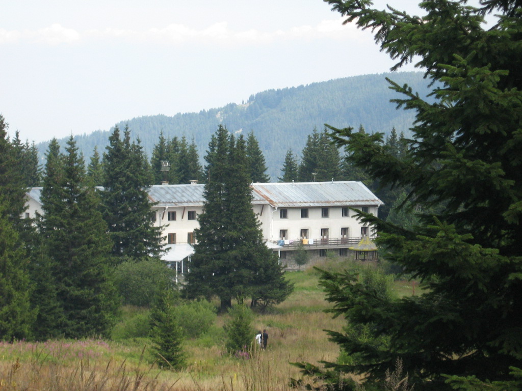 IMG_1437.jpg