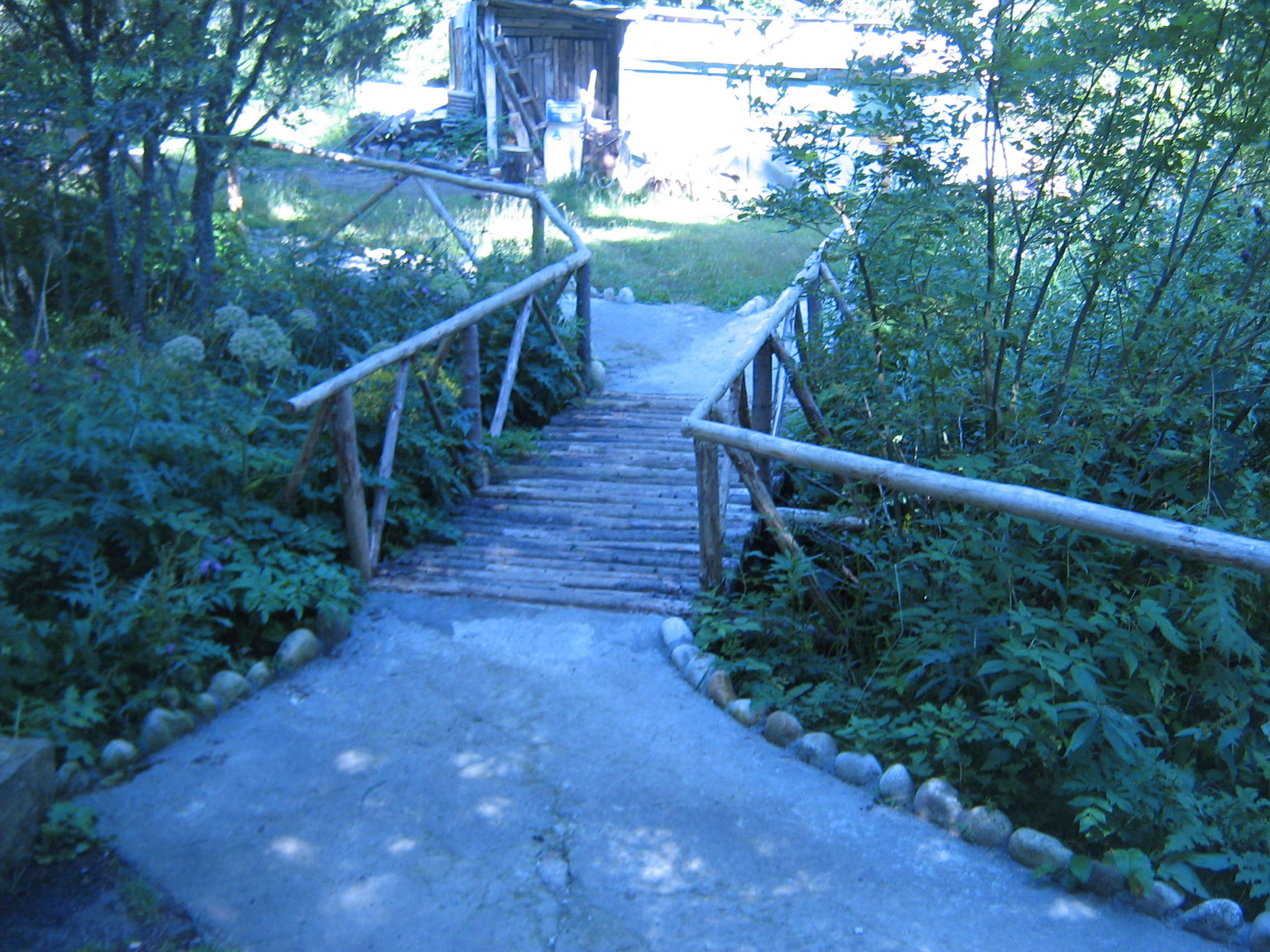 IMG_1486.jpg