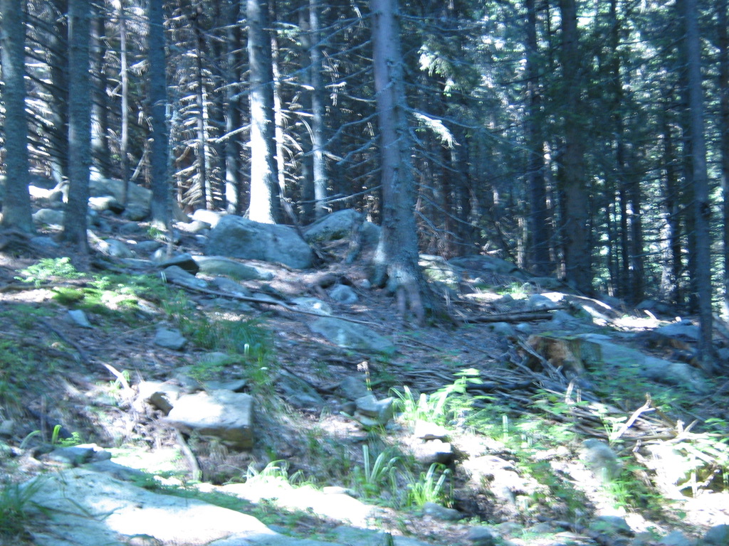 IMG_1493.jpg