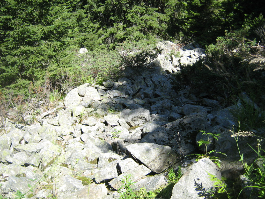 IMG_1518.jpg