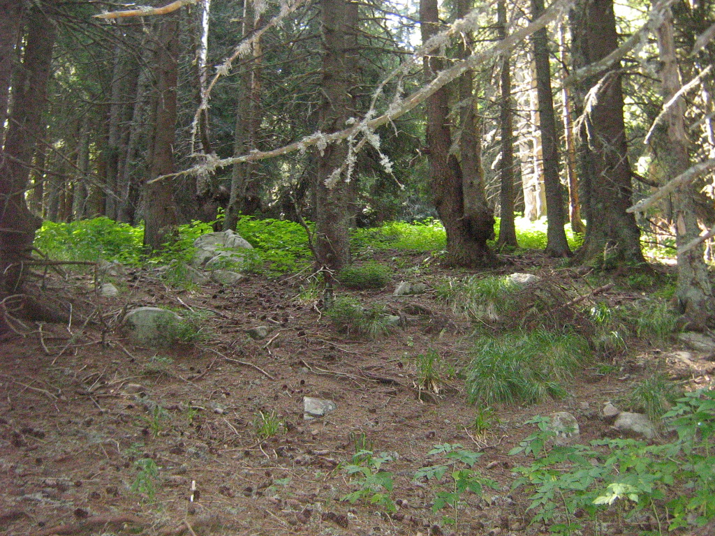 IMG_1542.jpg