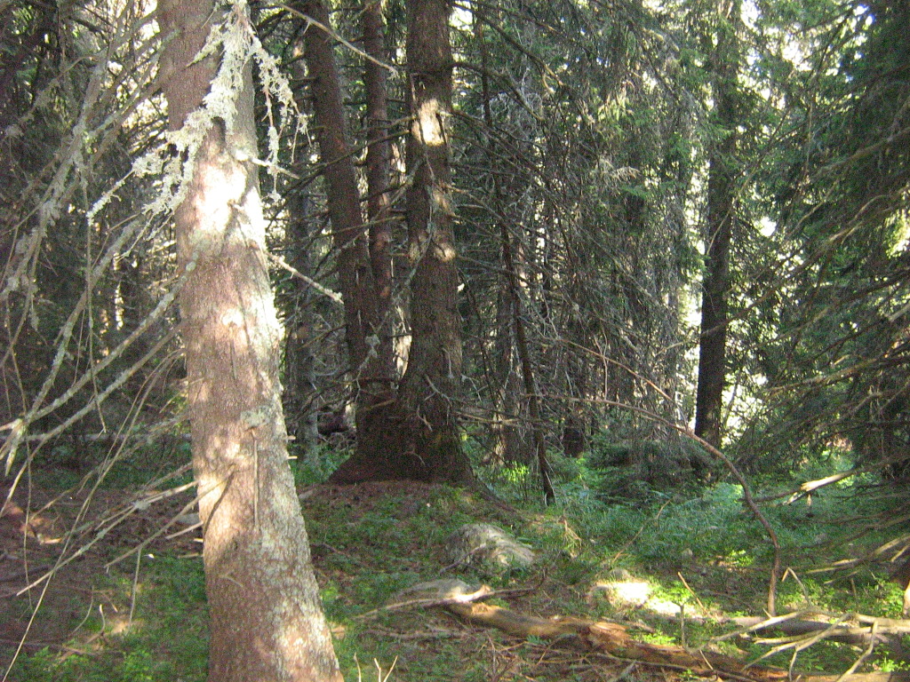 IMG_1543.jpg