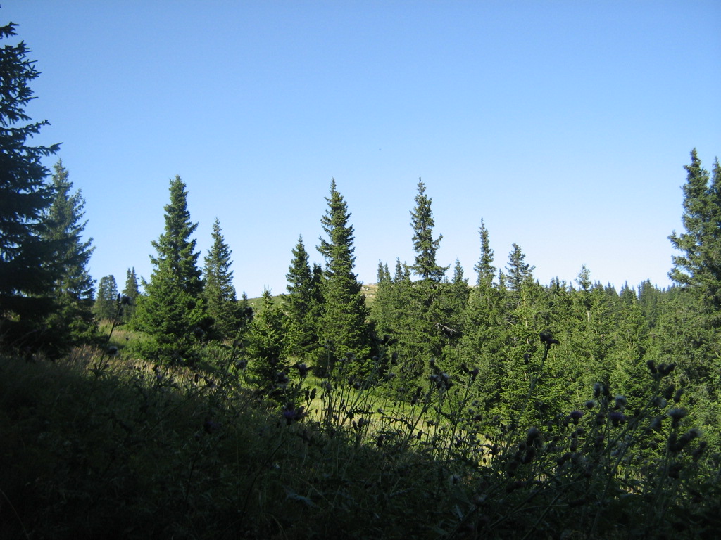 IMG_1544.jpg