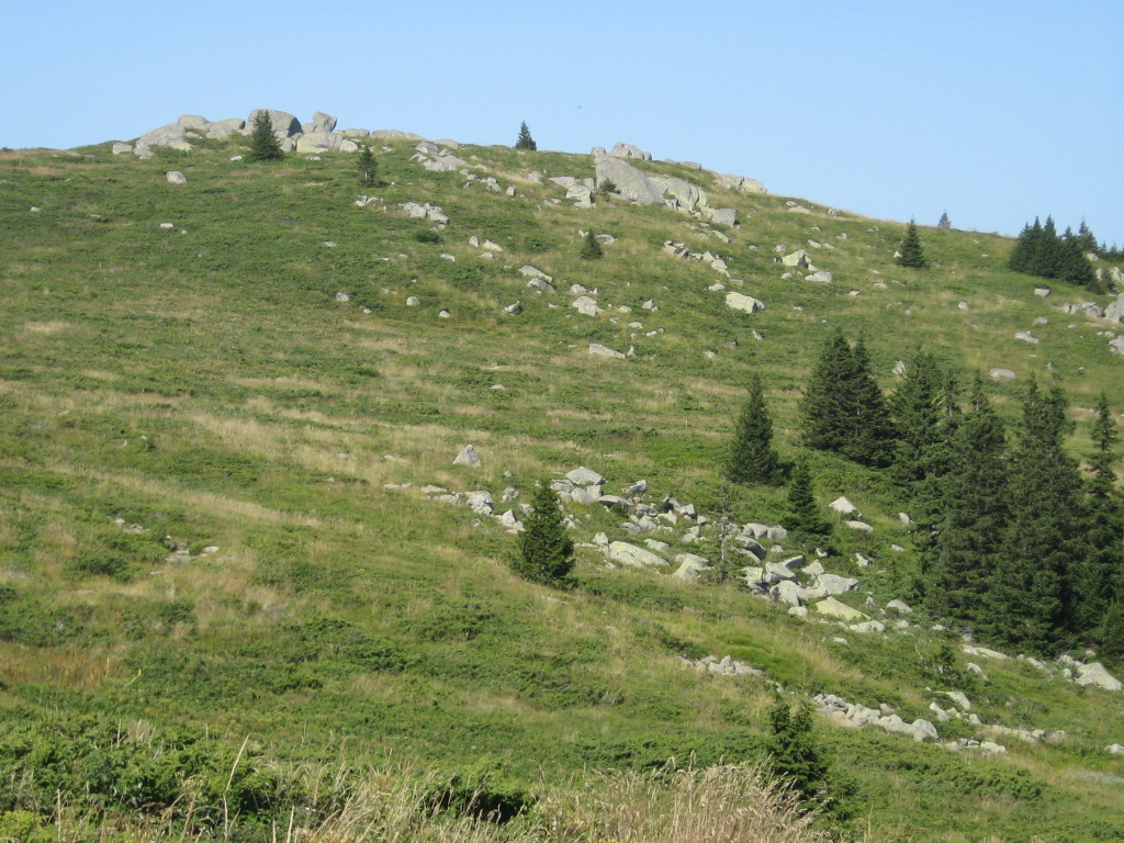 IMG_1550.jpg