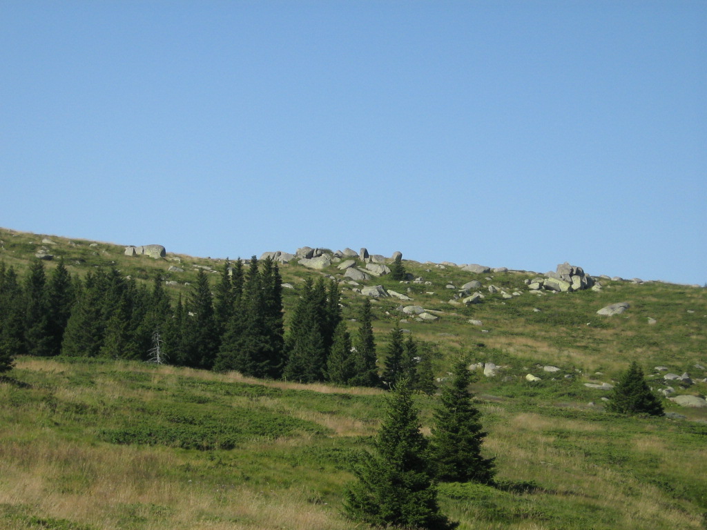 IMG_1551.jpg