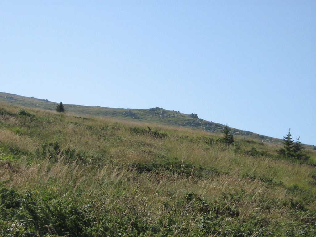 IMG_1552.jpg