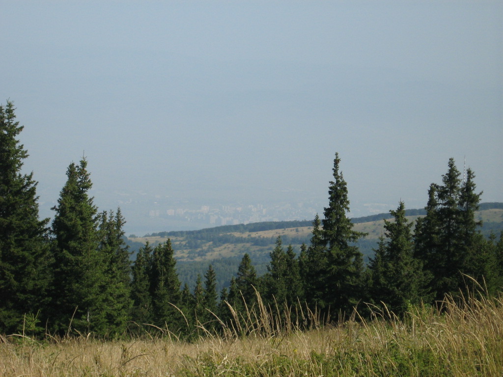 IMG_1553.jpg