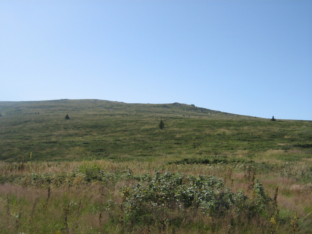 IMG_1555.jpg