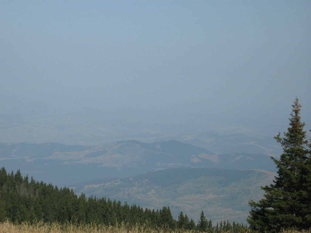 IMG_1557.jpg