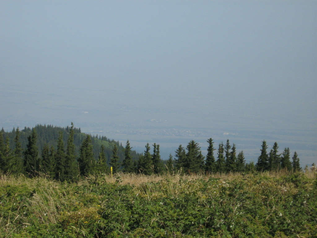 IMG_1558.jpg