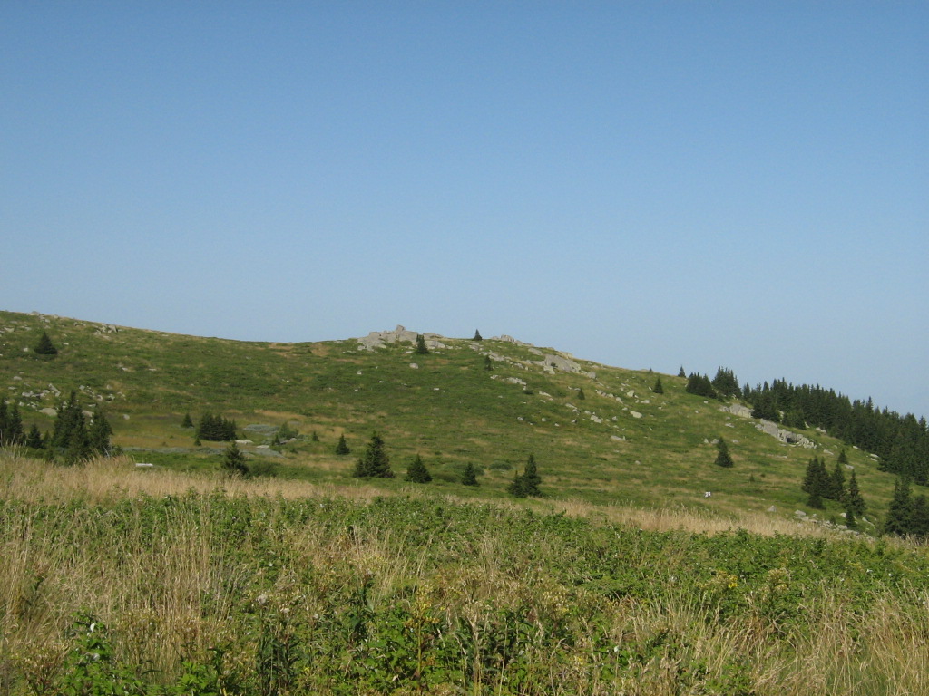 IMG_1559.jpg