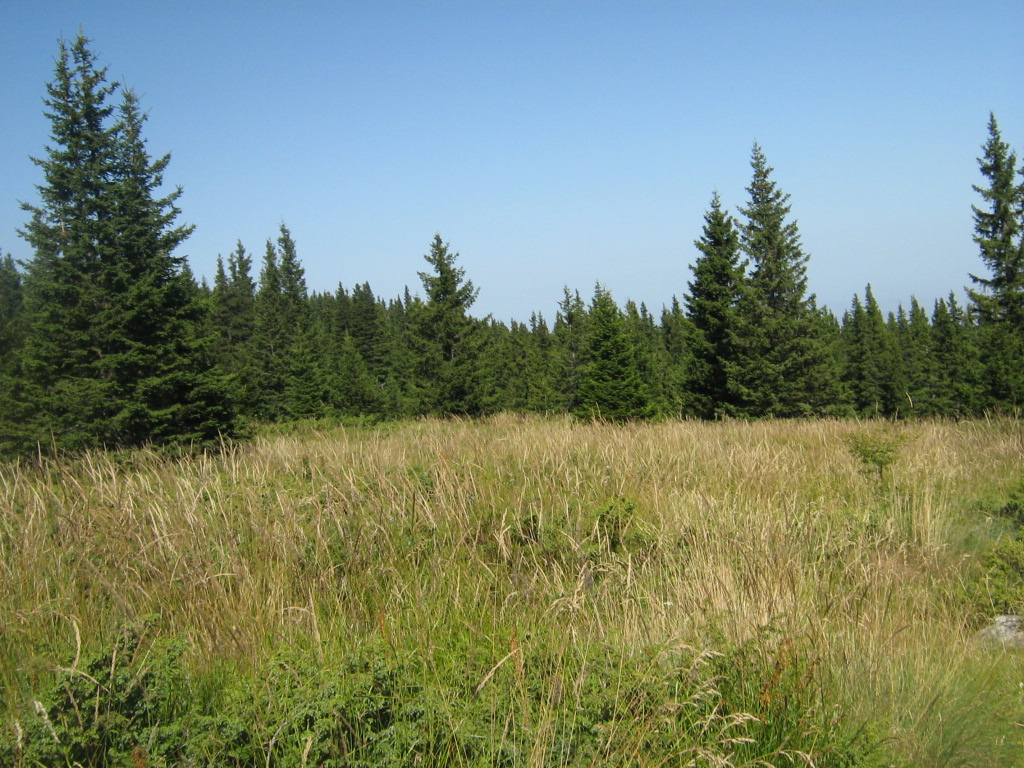 IMG_1566.jpg