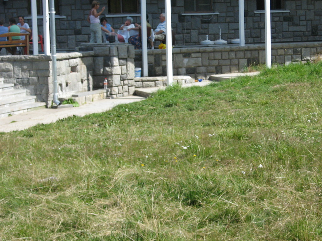 IMG_1571.jpg