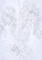 HWScan00012