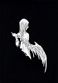 Untitled-12