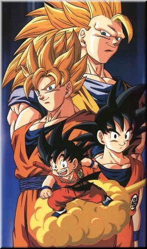 Son Goku.jpg